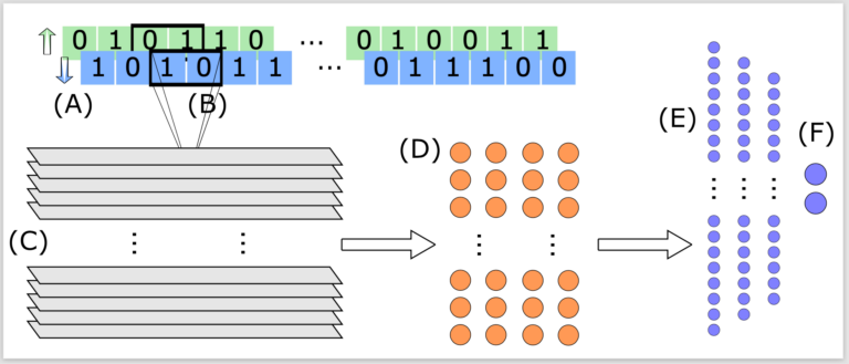 Neural-network-supported basis optimizer for configuration interaction problems